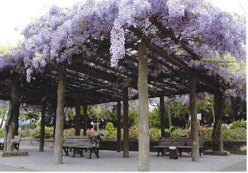 アクティ金田 公園