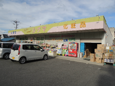リエラ八尾本町 ドラッグストア