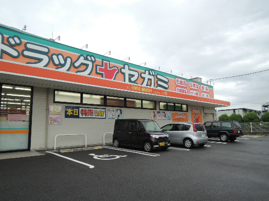 シャーメゾンピオニー ﾄﾞﾗｯｸﾞｾｶﾞﾐ 北久宝寺店