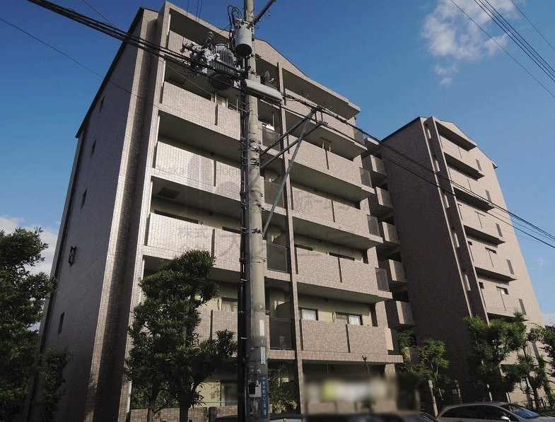 エオリアンハープ 外観