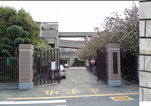 エオリアンハープ 中学校
