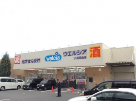 ドミソレイユⅡ ドラッグストア