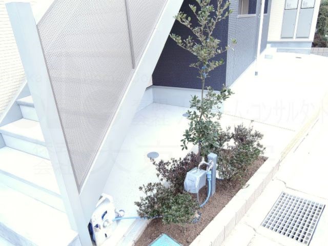 アムールレオ その他