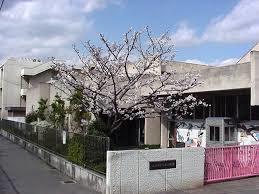 カサベルデ大正 幼稚園