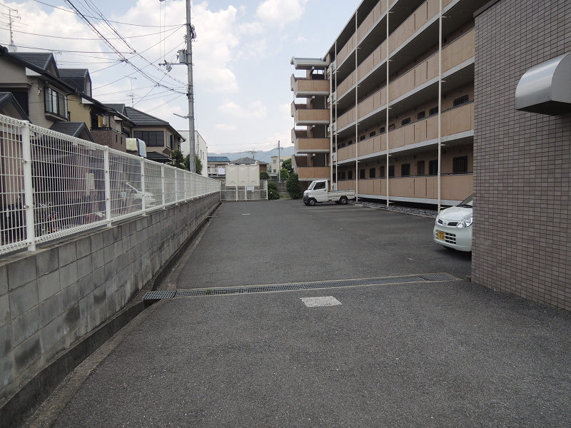 アルベーロ和生 その他