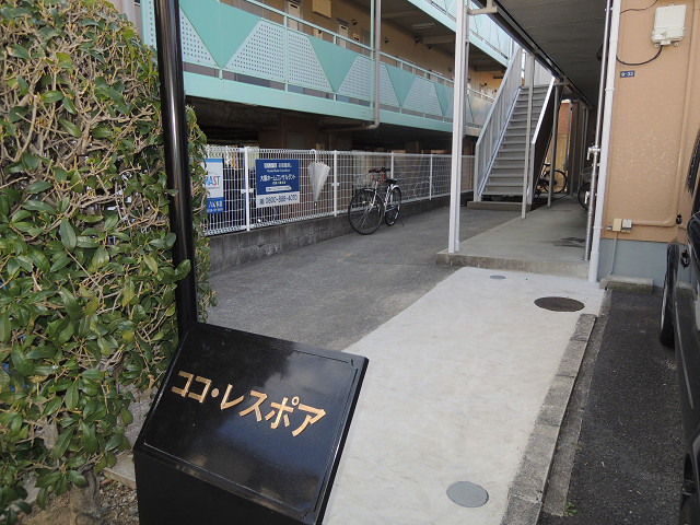 ココレスポア その他
