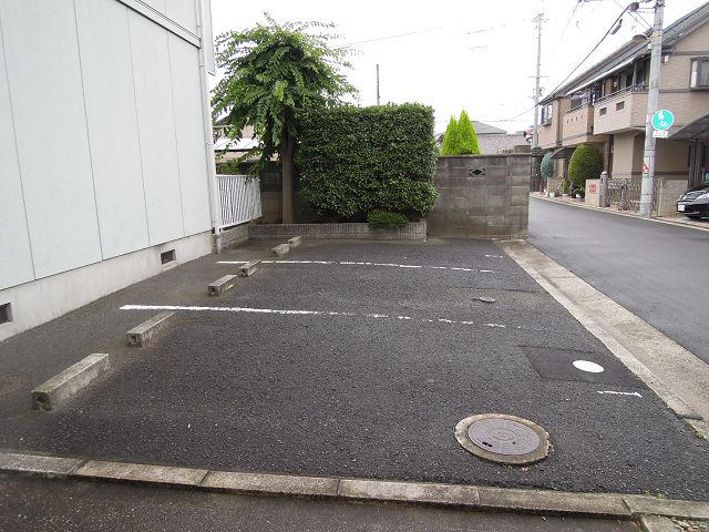 ココレスポア その他